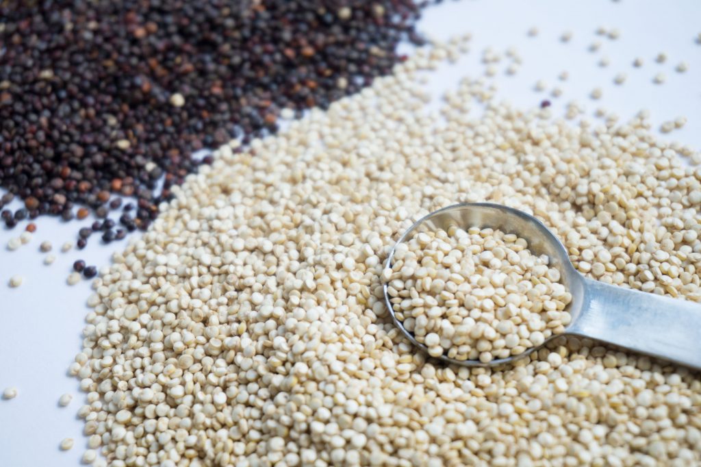 Komosa ryżowa quinoa