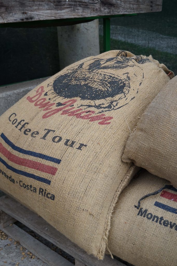 Kawa przygotowana na eksport liść jarmużu