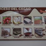 Produkcja czekolady liść jarmużu